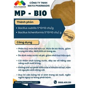 Men vi sinh xử lý nước MP-BIO